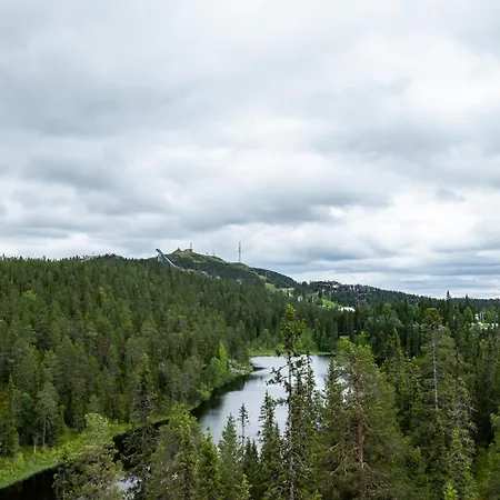 Апартаменты Salmenkelo, *